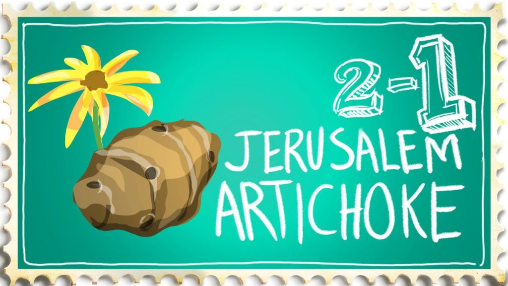 How to Grow Jerusalem Artichoke