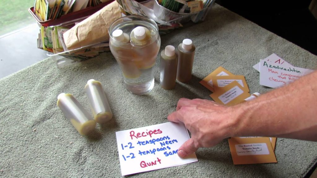 Gary Pilarchik: Neem Oil: Making Garden Sprays, Fixing Oil Separation & What Does it Do? – TRG 2014 Neem Oil: Making Garden Sprays, Fixing Oil Separation & What Does it Do? - TRG 2014