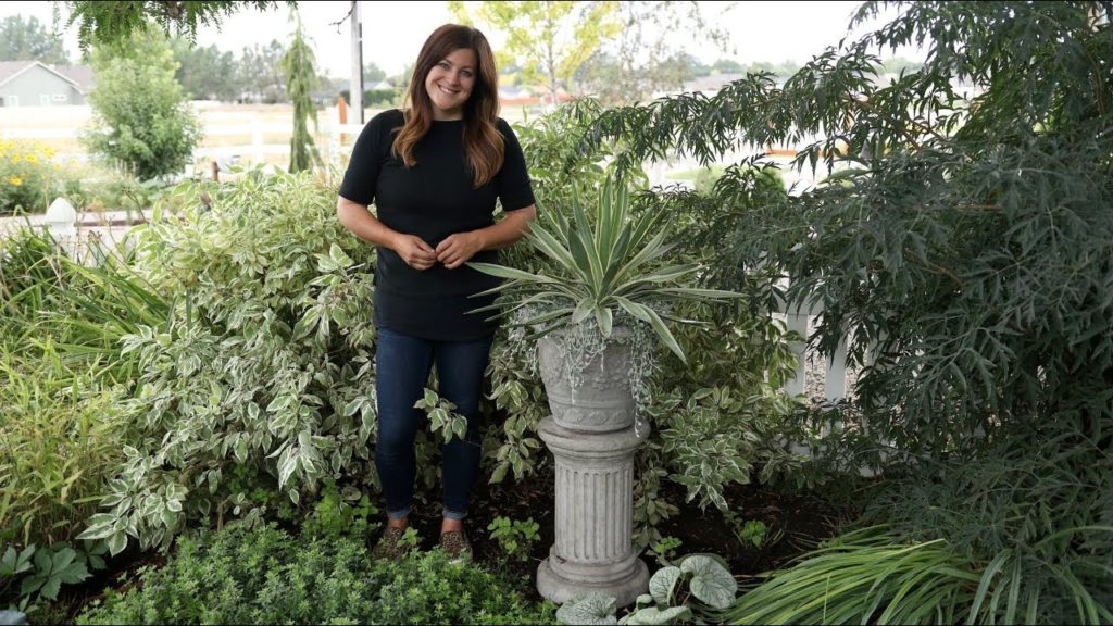 Adding Some Gorgeous Concrete Pieces to My Garden! 💚🌿😍// Garden Answer