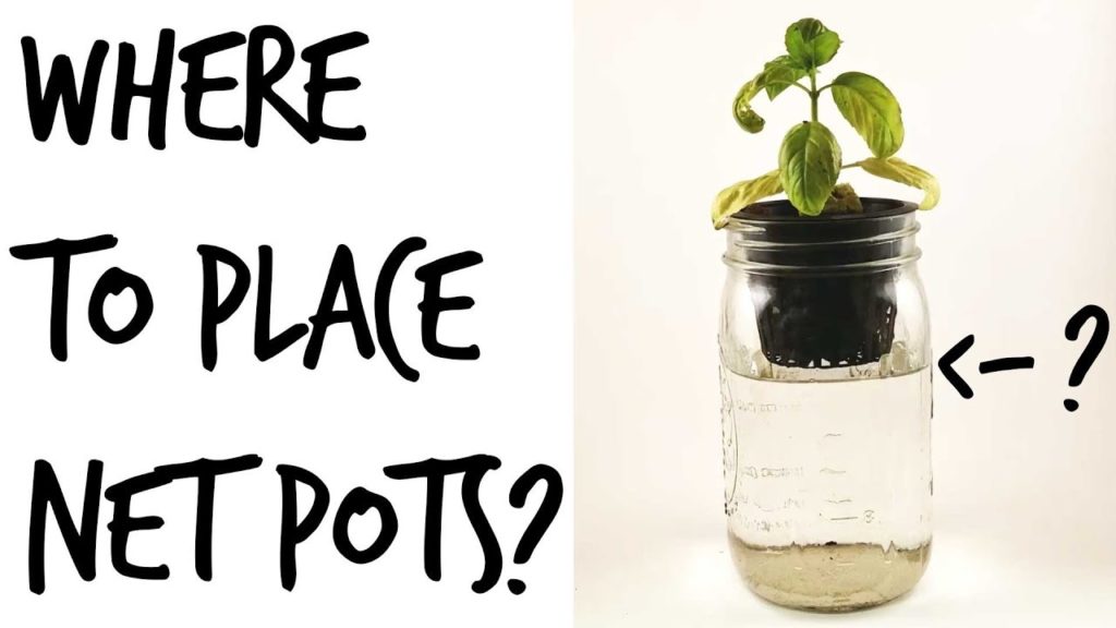Epic Gardening: Where Should You Place Your Net Pots in a Deep Water Culture System? Where Should You Place Your Net Pots in a Deep Water Culture System?