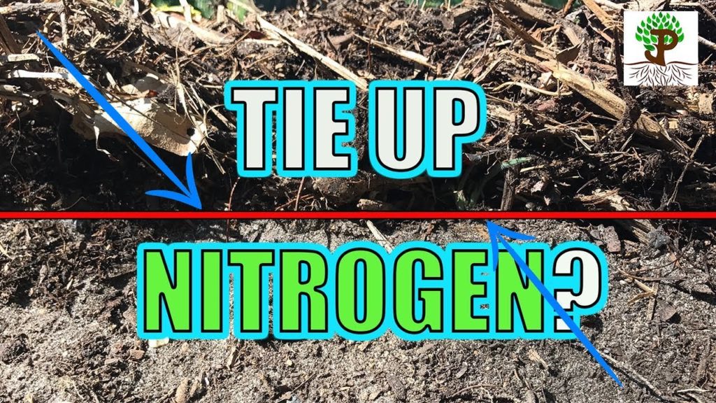 DO WOOD CHIPS TIE UP NITROGEN!?
