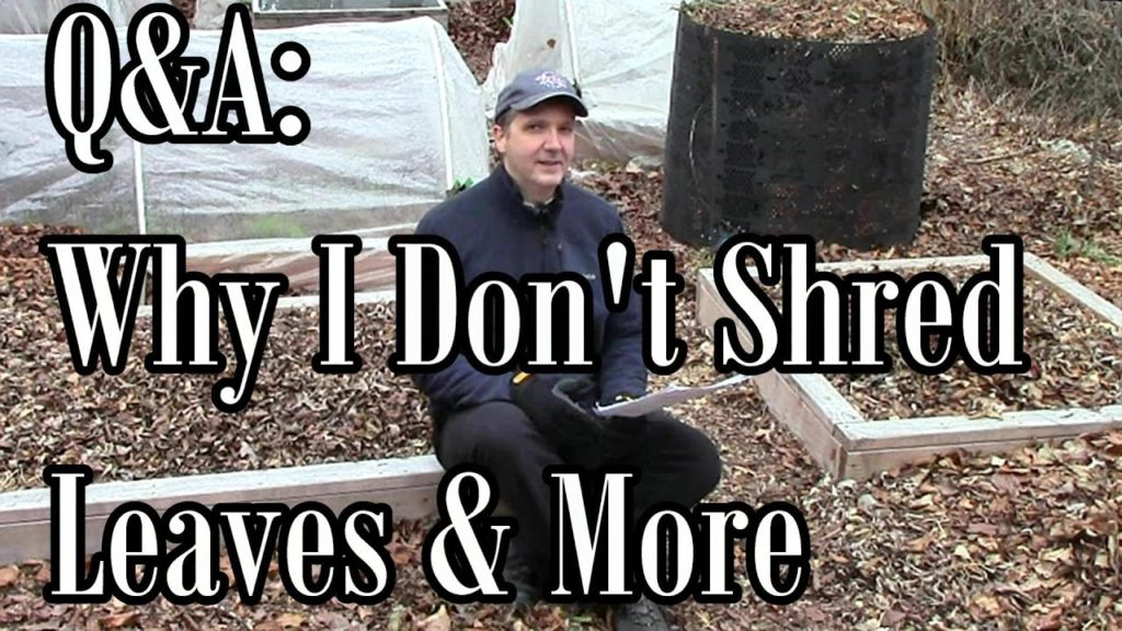 One Yard Revolution: Q&A: Why I Don't Shred Leaves, The Field Trials, & Why I Narrate Videos Q&A: Why I Don't Shred Leaves, The Field Trials, & Why I Narrate Videos