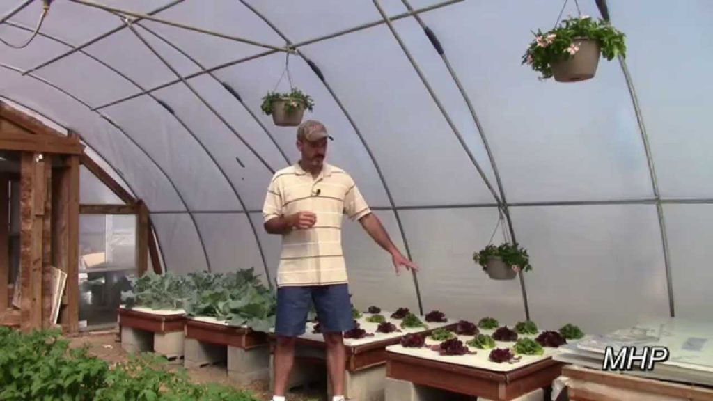 Failed Again - Organic Hydroponic Fertilizer Experiment