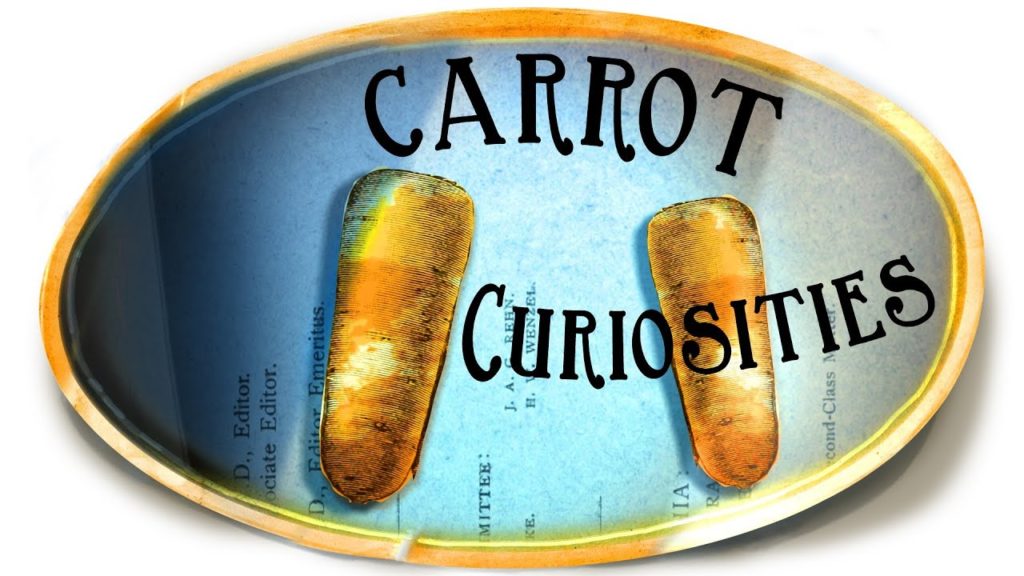 Carrot Curiosities
