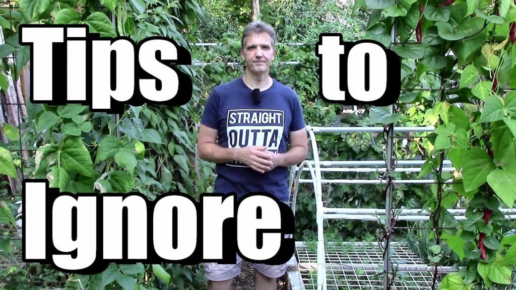 Popular Gardening Tips You Can Probably Ignore (Companion Planting, Molasses, Watering in Sun)