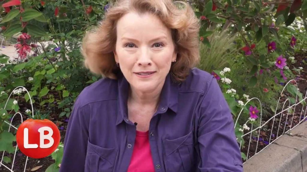 Kaye Kittrell: Grow Buckwheat & Flowers on the Parkway | Late Bloomer | Episode 12 Grow Buckwheat & Flowers on the Parkway | Late Bloomer | Episode 12