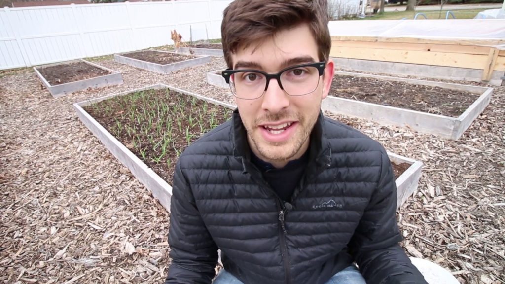 MIgardener: Perlite vs. Vermiculite Uses, Differences, and Misconceptions Perlite vs. Vermiculite Uses, Differences, and Misconceptions