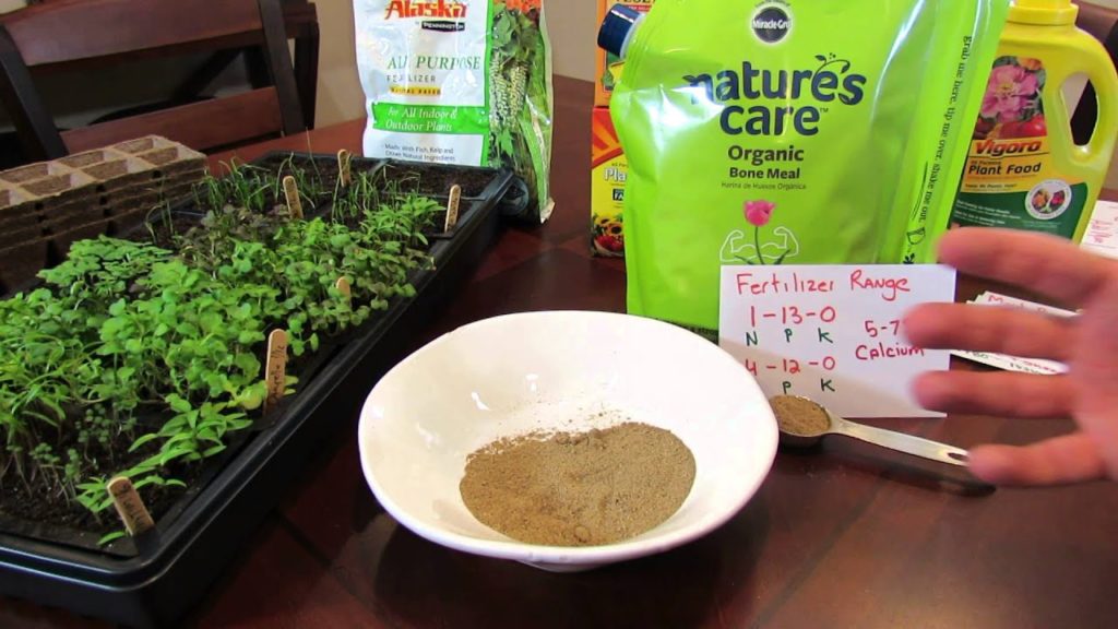 MFG 2016: Bone Meal an Organic Insoluble Garden Fertilizer: What is It & How do You Use It ?
