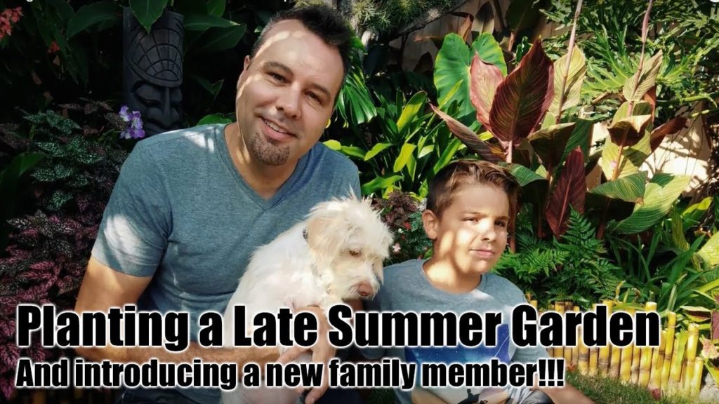 Planting a Late Summer Garden... and Introducing a New Family Member!!!