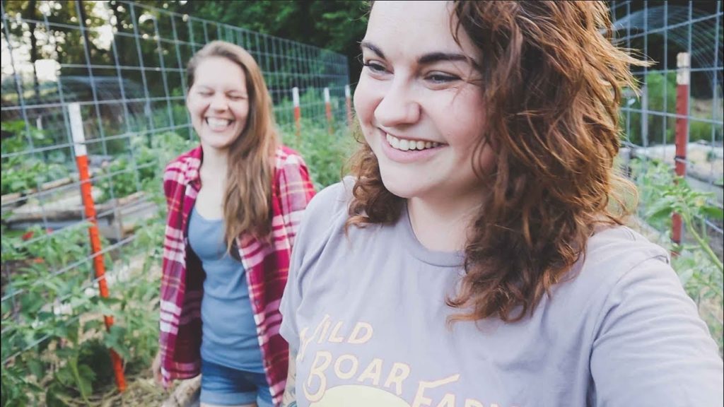 The Garden is GREEN! (The Hollars are HERE!) | VLOG | Roots and Refuge