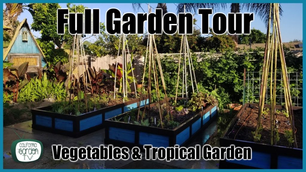 Full Garden Tour // Vegetable Garden and Tropical Garden