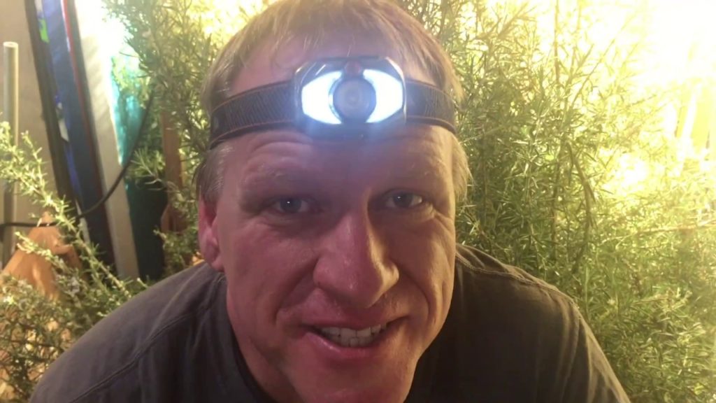 Jeb Gardener: Are Indoor Plants the Future of Art? Are Indoor Plants the Future of Art?