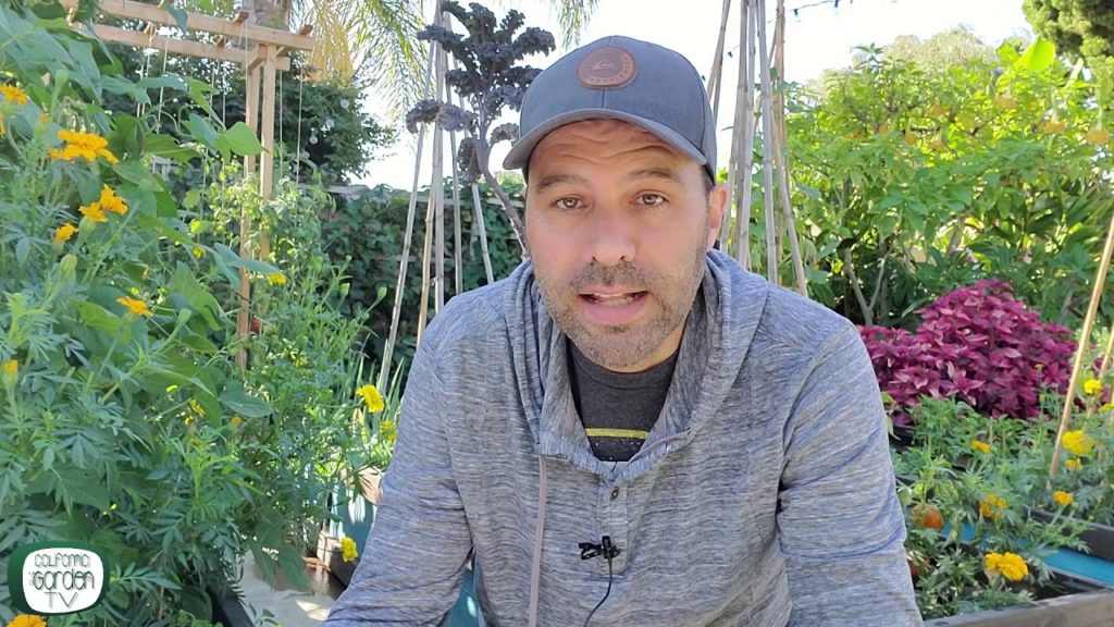 Garden jobs for the weekend. Oct 12