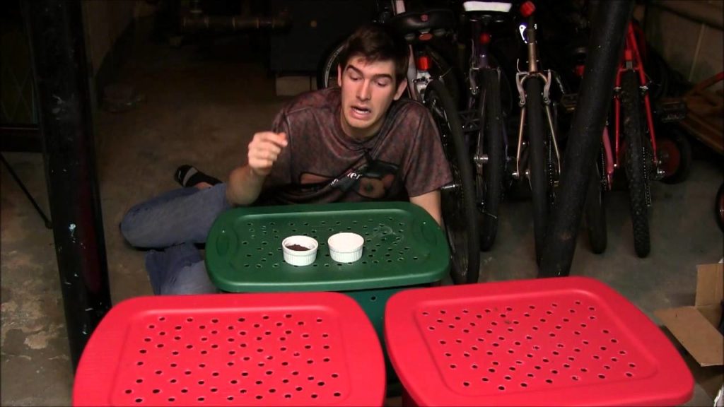 MIgardener: Get Your Composting Worms to Digest Faster Get Your Composting Worms to Digest Faster