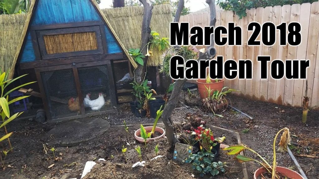 March Garden Tour