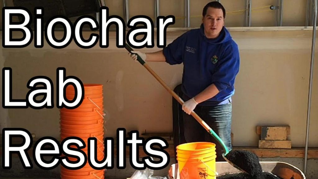 Does Biochar Retain Nutrients in the Soil?