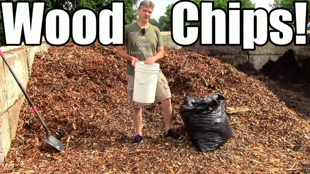 One Yard Revolution: How & Why I Use Wood Chip Mulch in the Garden! How & Why I Use Wood Chip Mulch in the Garden!