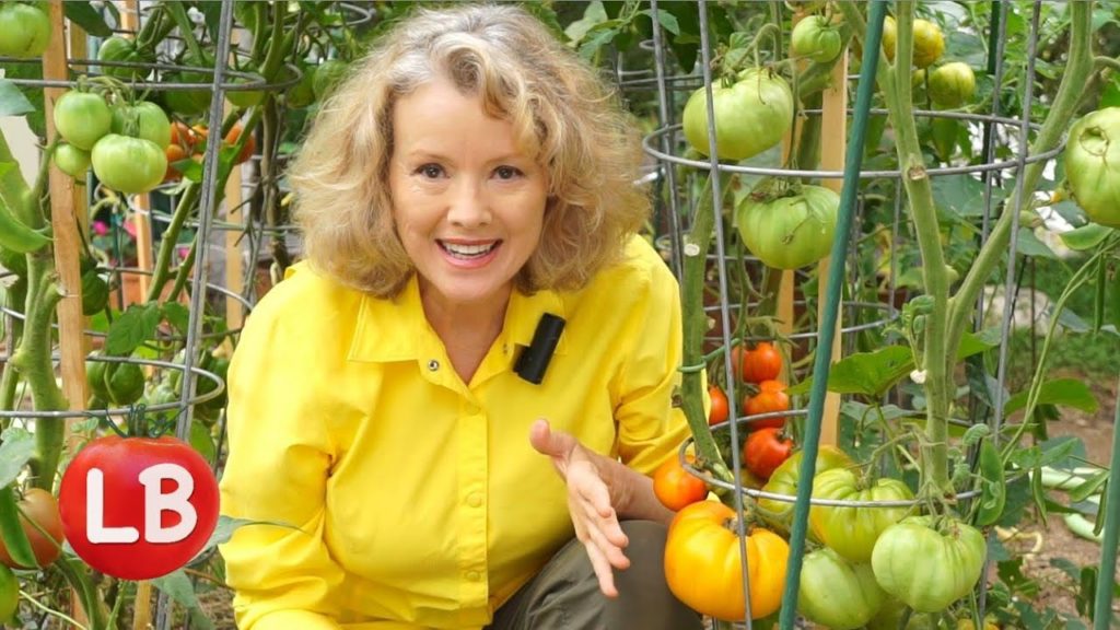 Kaye Kittrell: August Harvest & Issues – Part 2 | Late Bloomer | Episode 14 August Harvest & Issues - Part 2 | Late Bloomer | Episode 14