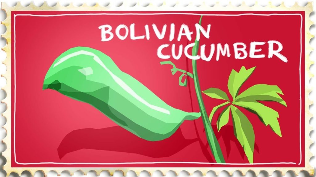 Siloé Oliveira: My Garden's Wildest Bolivian Pickle My Garden's Wildest Bolivian Pickle