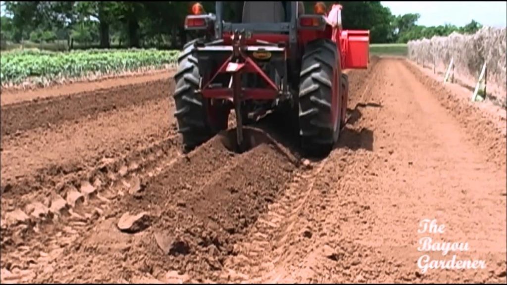Webcajun - Master Gardener & Friend - He Paved the Way