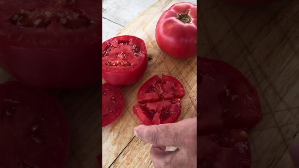 Mountain Rouge F1 Tomato a beautiful and disease resistant new AAS Winner!