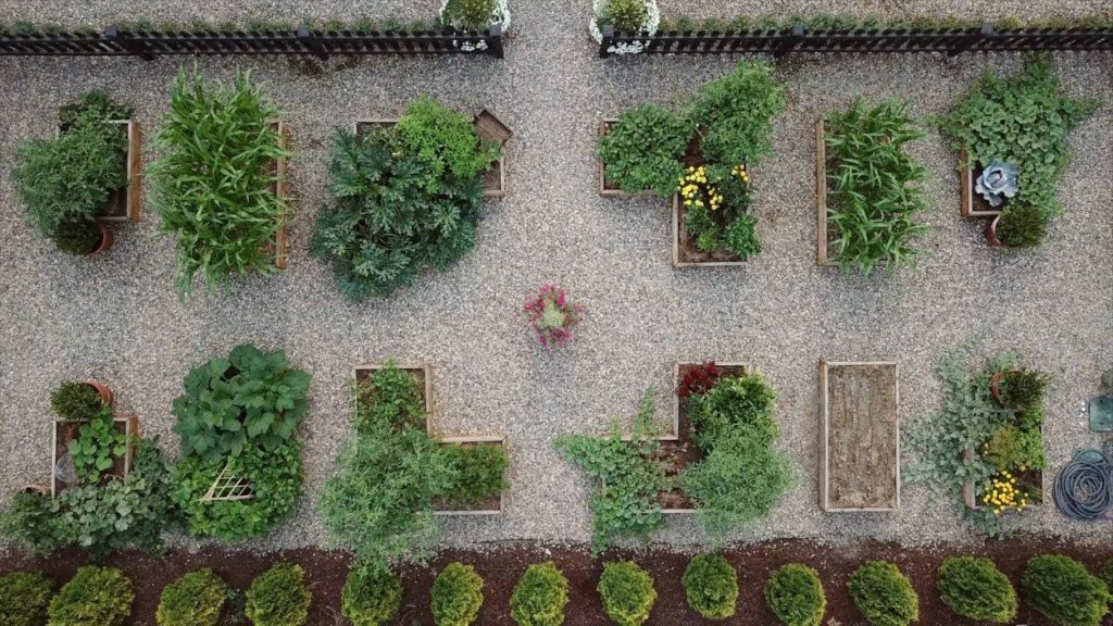 Vegetable Garden Before and After 🌿
