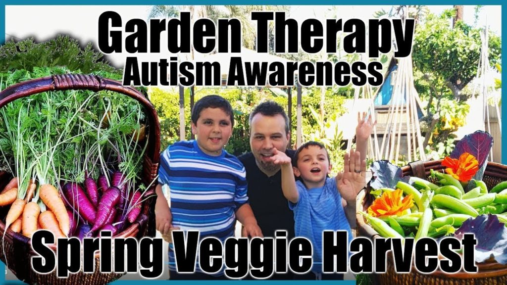 Garden Therapy // Autism Awareness // Spring Vegetable Harvest // Gardening with Kids