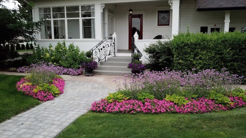 Plant Inspiration for Your Front Yard 🌿