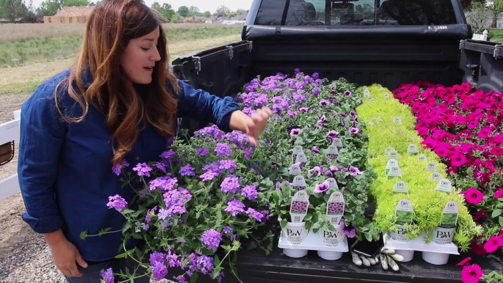 Garden Answer Highlights: Massive Flower Planting Project Start to Finish 🌿🌸 Massive Flower Planting Project Start to Finish 🌿🌸