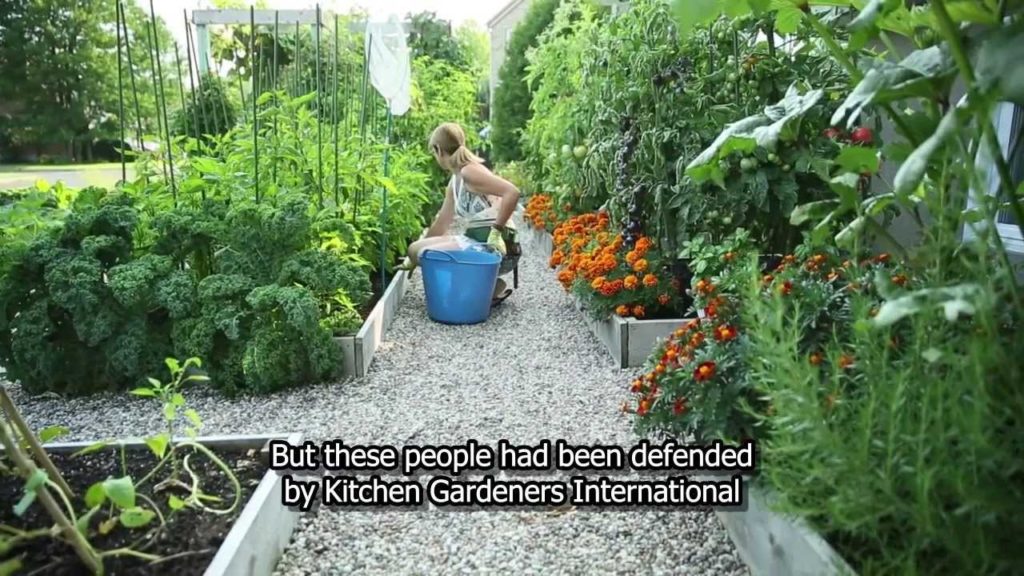 Drummondville's front yard vegetable garden Drummondville's front yard vegetable garden