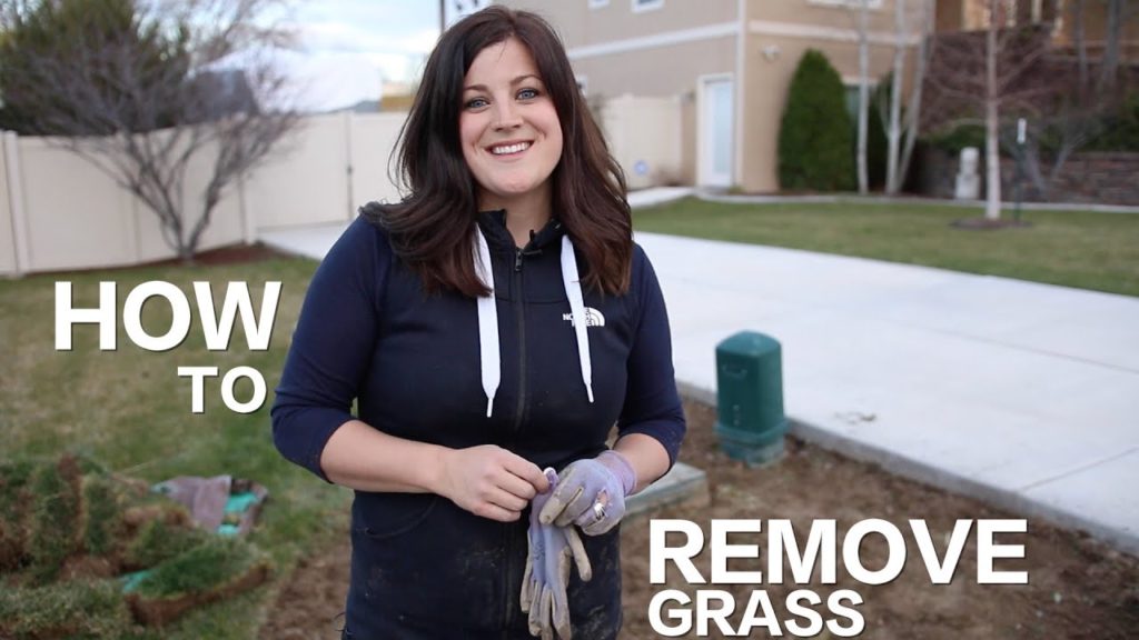 Garden Answer: How to Remove Grass // Garden Answer How to Remove Grass // Garden Answer