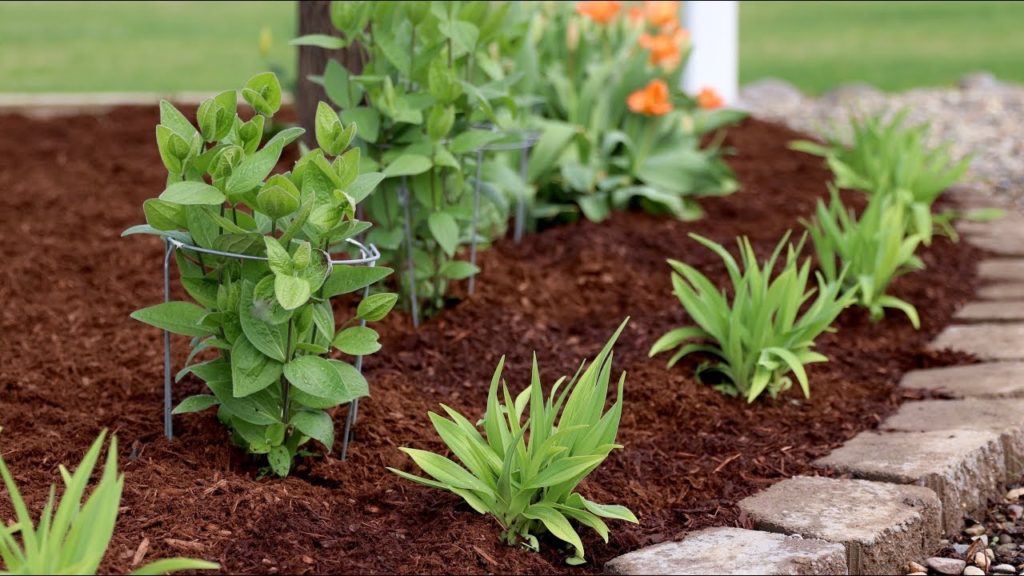 Planting a New Flower Bed! 🌿🌸