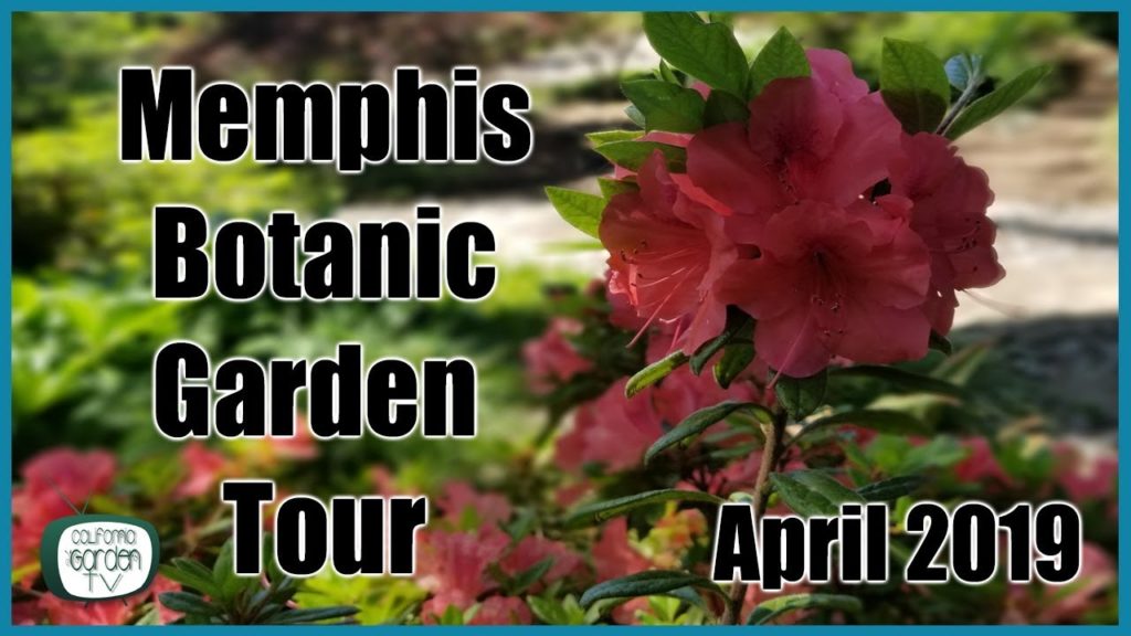 California Garden TV: Memphis Botanic Garden – April 2019 Memphis Botanic Garden - April 2019