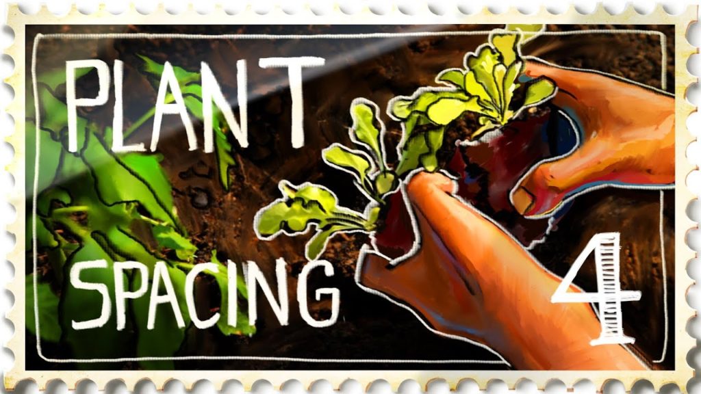 Plant Spacing - Suburban Homestead EP4