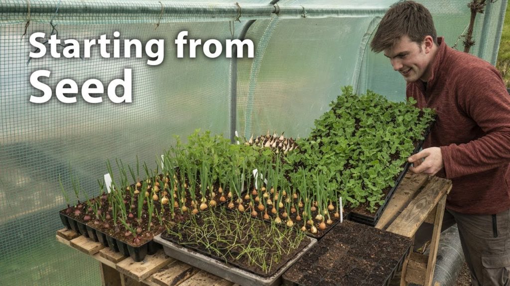 Huw Richards: My Propagation Setup for Annual Vegetables – Compost, Watering, Space etc My Propagation Setup for Annual Vegetables - Compost, Watering, Space etc
