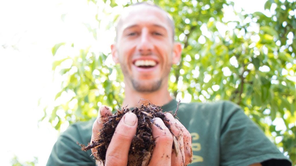 James Prigioni: AFTER 7 YEARS!! Back To Eden Method AFTER 7 YEARS!! Back To Eden Method