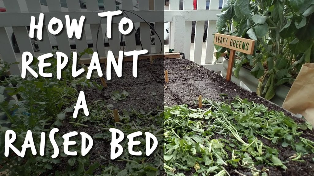 Epic Gardening: How to Replant and Prepare Raised Beds For Spring How to Replant and Prepare Raised Beds For Spring