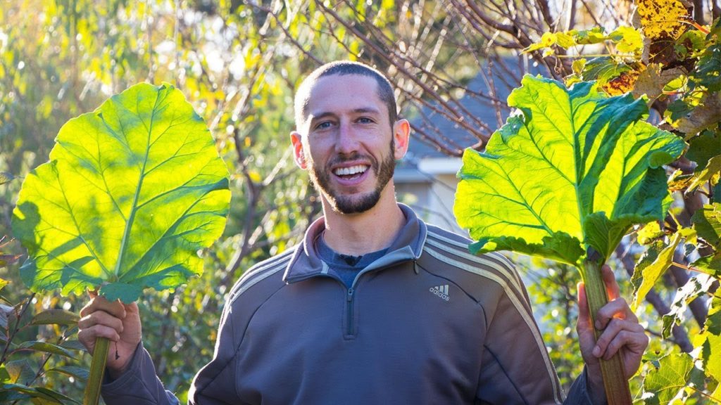 How To Prepare Your Garden For Winter, The Freeze Is Coming!