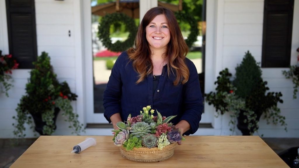 Garden Answer: How to Create Height in a Succulent Arrangement! 🌱🥰💚// Garden Answer How to Create Height in a Succulent Arrangement! 🌱🥰💚// Garden Answer