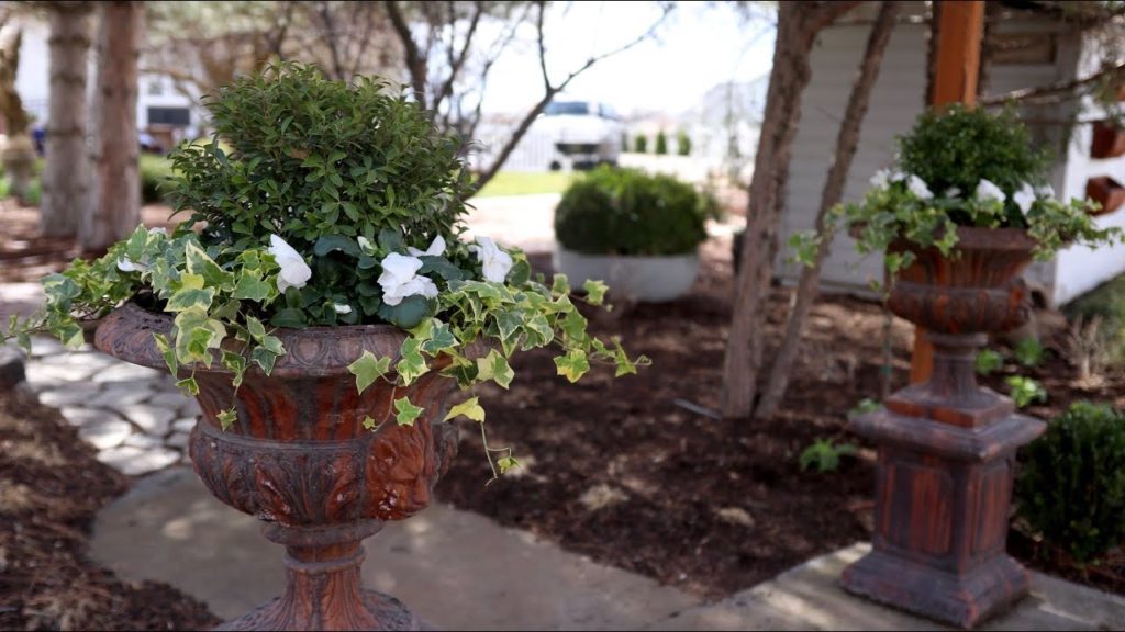Early Spring Arrangement Inspiration 🌿💚