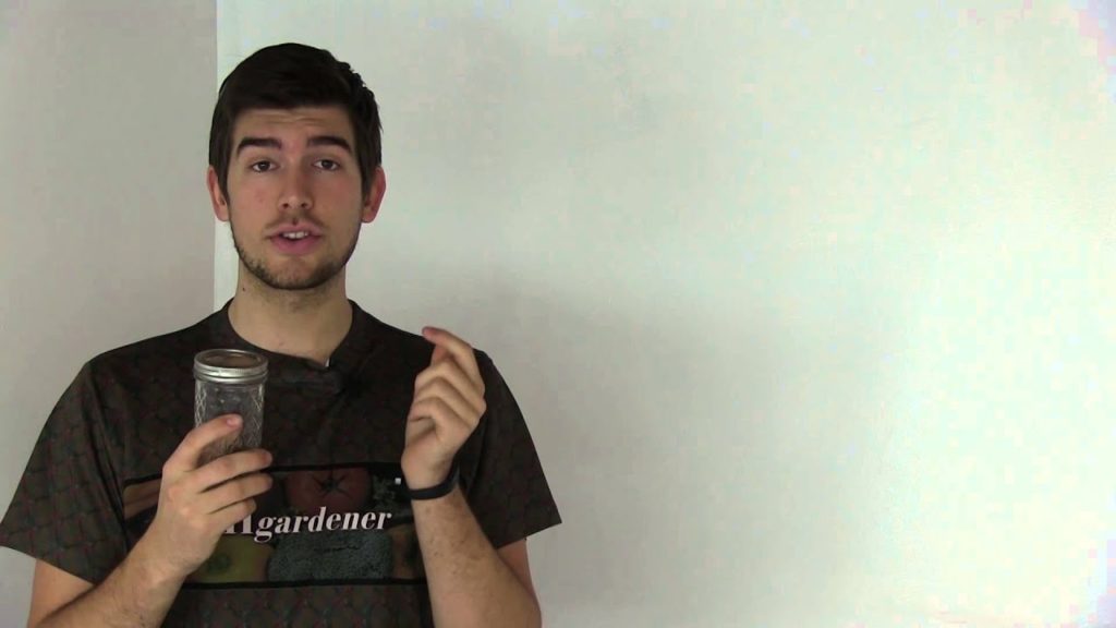 How To Keep and Store Extra & Unused Seed Good For 5-10 Years