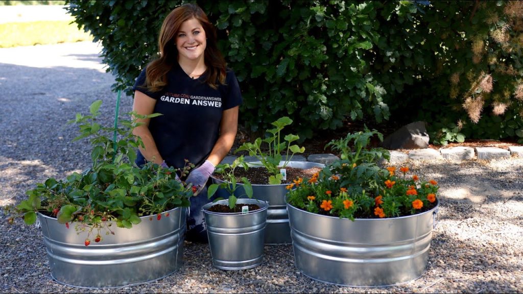 Edibles in Containers // Garden Answer