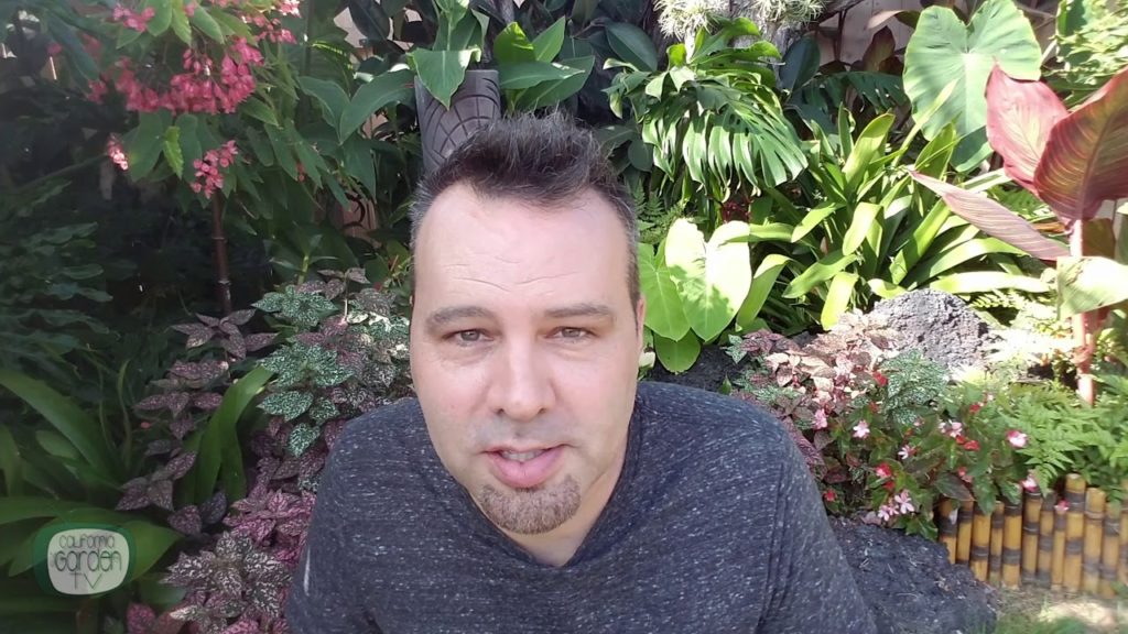 Garden FAIL - Vlog