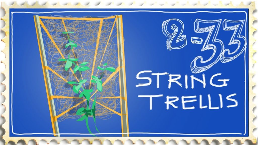 Siloé Oliveira: Cheap Whimsical String Trellis for Growing Runner Beans or Cucumbers Cheap Whimsical String Trellis for Growing Runner Beans or Cucumbers