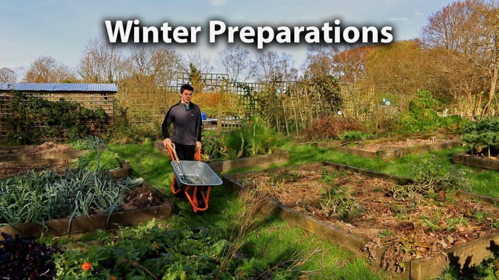 Huw Richards: Preparing our Vegetable Garden for Winter Preparing our Vegetable Garden for Winter