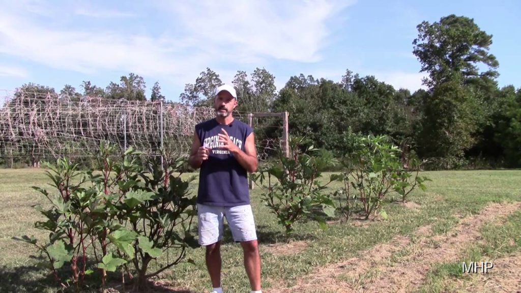 Buying Premixed Water Soluble Fertilizers