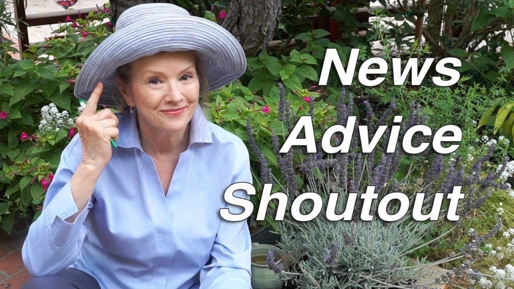Kaye Kittrell: News, BIG FIG, Shoutouts, Advice | Garden Workday | Vlog News, BIG FIG, Shoutouts, Advice | Garden Workday | Vlog