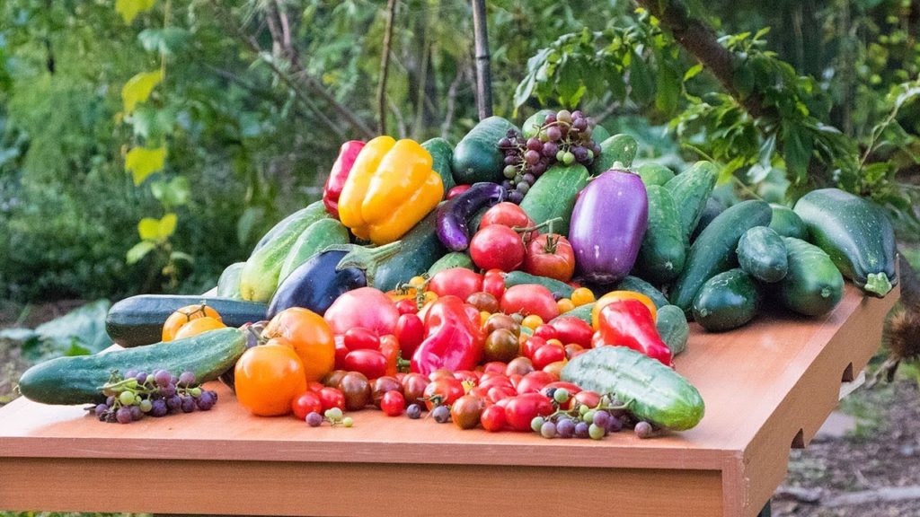 Permaculture Gardening Harvest, Backyard Sustainable Food Forest