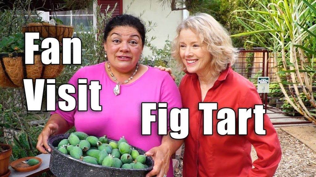 Kaye Kittrell: DELICIOUS Fig Tart | Cooking with FAN | DELICIOUS Fig Tart | Cooking with FAN |