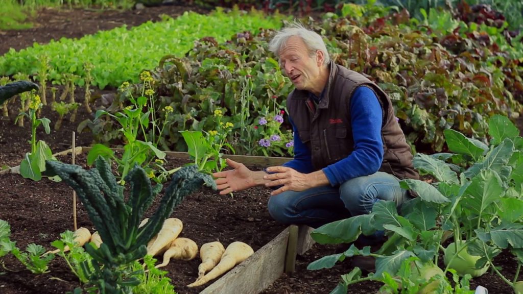 Garden myths that take our time Garden myths that take our time